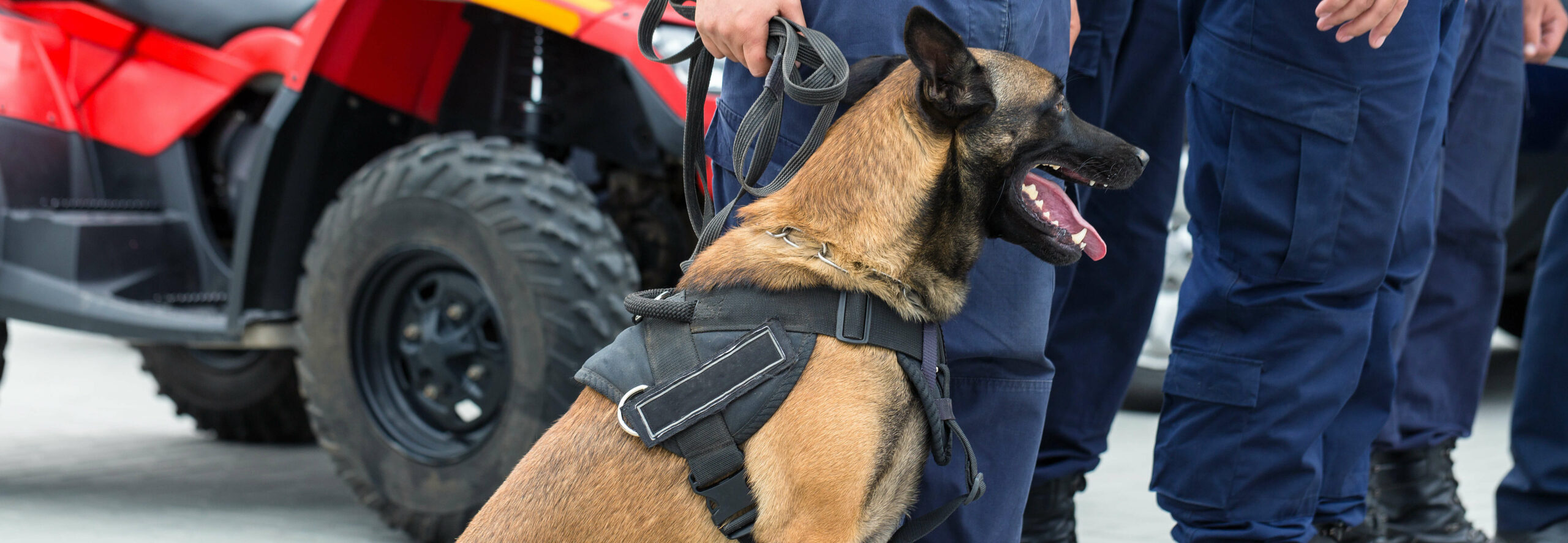 global k9 protection group