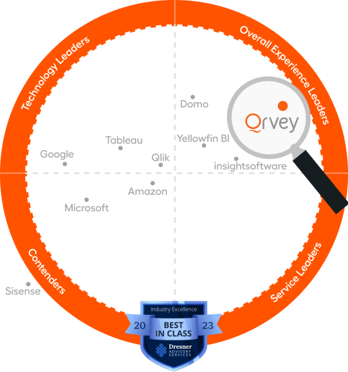 Qrvey is the Leader in Embedded Analytics Software